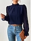 ieftine Bluze &amp; Cămăși Damă-Pentru femei Cămașă Bluză Simplu Casual Plasă Negru Manșon Lung Zilnic De Bază Guler Pe Gât Gât Înalt Toamna iarna