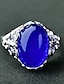 preiswerte Ringe-1 Stück Einstellbarer Ring For Damen Blau Geschenk Täglich Verabredung Harz Aleación Retro Freude