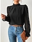 ieftine Bluze &amp; Cămăși Damă-Pentru femei Cămașă Bluză Simplu Casual Plasă Negru Manșon Lung Zilnic De Bază Guler Pe Gât Gât Înalt Toamna iarna