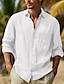 Χαμηλού Κόστους Βαμβακερό Λινό Πουκάμισο-Ανδρικά Πουκάμισο λινό πουκάμισο Πουκάμισο με κουμπιά Καλοκαιρινό πουκάμισο Πουκάμισο παραλίας Μαύρο Λευκό Ανθισμένο Ροζ Μακρυμάνικο Σκέτο Πέτο Ανοιξη καλοκαίρι Causal Καθημερινά Ρούχα