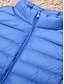 Χαμηλού Κόστους Γιλέκο-Γυναικεία Veste Καθημερινά Ρούχα Διακοπές Εξόδου Φθινόπωρο Χειμώνας Κανονικό Παλτό Κανονικό Διατηρείτε Ζεστό Αναπνέει Στυλάτο Σύγχρονο Μοντέρνο Στυλ Σακάκια Αμάνικο Συμπαγές Χρώμα Με τσέπες