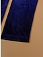 abordables vestidos de fiesta de talla grande-Mujer Talla Grande Vestido de terciopelo Vestido de Fiesta Vestido Cóctel Frunce Escote en Pico Manga Larga Vestido Midi Cumpleaños Vacaciones Negro Vino Primavera Invierno