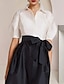 cheap Mother of the Bride Dresses-A-Line Mother of the Bride Dress Formal Wedding Guest Elegant Party Shirt Collar Floor Length Taffeta Short Sleeve with Bow(s) Color Block 2024