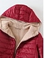 ieftine palton matlasat-Pentru femei Jachete Iarnă Palton de iarnă Jachetă din lână Parc În aer liber Stradă Purtare Zilnică Toamnă Iarnă Lung Palton Fit regulat Rezistent la Vânt Cald Stilat Casual Comfortabil Jachete