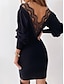 preiswerte schlichte Kleider-Damen Spitzenkleid Minikleid Kontrastspitze Spitze Täglich Verabredung Modisch Basic Rundhalsausschnitt Langarm Schwarz Weiß Farbe