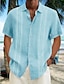 رخيصةأون قميص قطن كتان-رجالي قميص Guayabera قميص غير رسمي قميص صيفي قميص الشاطئ أبيض أزرق كاكي كم قصير مخطط Lapel للربيع والصيف ستايل هاواي مناسب للعطلات ملابس طباعة