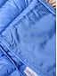 baratos Colete-Mulheres Colete Roupa Diária Férias Para Noite Outono Inverno Padrão Casaco Normal Térmico / Quente Respirável à moda Moderna Estilo Moderno Casaco Sem Manga Côr Sólida Com bolsos Azul Céu Preto