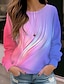 cheap Women&#039;s Hoodies &amp; Sweatshirts-Women&#039;s Sweatshirt Pullover Floral Cat Street Casual White Red Blue Vintage Sports Basic Round Neck Long Sleeve Top Micro-elastic Fall &amp; Winter