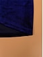 abordables vestidos de fiesta de talla grande-Mujer Talla Grande Vestido de terciopelo Vestido de Fiesta Vestido Cóctel Frunce Escote en Pico Manga Larga Vestido Midi Cumpleaños Vacaciones Negro Vino Primavera Invierno