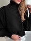 cheap Sweaters-Women&#039;s Pullover Sweater Jumper Turtleneck Stand Collar Ribbed Knit Cotton Oversized Summer Fall Outdoor Daily Going out Stylish Casual Soft Long Sleeve Solid Color Black White Wine S M L
