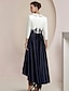 cheap Mother of the Bride Dresses-A-Line Mother of the Bride Dress Formal Wedding Guest Elegant High Low Shirt Collar Asymmetrical Tea Length Satin Lace 3/4 Length Sleeve with Appliques Color Block 2024