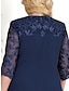 cheap Plus Size Party Dresses-Women&#039;s Plus Size Curve Party Dress Lace Dress Cocktail Dress Midi Dress Pink Dark Blue Light Blue 3/4 Length Sleeve Floral Lace Spring Fall Winter Crew Neck Fashion Birthday Wedding Guest