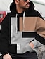 billige Pullover hættetrøjer til mænd-Herre Unisex Hattetrøje Pullover-hættetrøje Sort Hætte Farveblok Grafiske tryk Trykt mønster Daglig Sport 3D-udskrivning 3D-tryk Afslappet Tøj Hættetrøjer Sweatshirts Langærmet