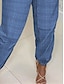 ieftine Pantaloni Damă-Pentru femei chinez Pantaloni Talie Înaltă Lungime totală Albastru piscină Toamnă