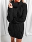 Χαμηλού Κόστους Μάλλινα φορέματα-Γυναικεία Φόρεμα πουλόβερ Φόρεμα Jumper Καθημερινό φόρεμα Μίνι φόρεμα Πλεκτά Μοντέρνα Κομψό στυλ street ΕΞΩΤΕΡΙΚΟΥ ΧΩΡΟΥ Δρόμος Καθημερινά Εξόδου Ζιβάγκο Μακρυμάνικο Τσέπη 2023 Χαλαρή Εφαρμογή