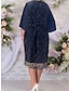 Χαμηλού Κόστους plus size φορέματα για πάρτι-γυναικείο plus size curve φόρεμα πάρτι φόρεμα δαντέλα ημι επίσημο φόρεμα φλοράλ μίντι φόρεμα μισό μανίκι δαντέλα κεντημένο πλήρωμα λαιμόκοψη κομψό πάρτι βαθύ μπλε φθινοπωρινό χειμώνα