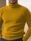 Недорогие мужской пуловер-свитер-Муж. Вязаная ткань Свитер с высоким воротом Пуловер Рельефный узор Вязать Трикотаж Полотняное плетение Хомут Сохраняет тепло На каждый день на открытом воздухе На каждый день Одежда Наступила зима