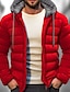 cheap Men&#039;s Downs &amp; Parkas-Men&#039;s Winter Coat Puffer Jacket Pocket Hooded Office &amp; Career Date Casual Daily Warm Winter Color Block Black Red Navy Blue Blue Puffer Jacket