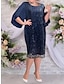Χαμηλού Κόστους plus size φορέματα για πάρτι-γυναικείο plus size curve φόρεμα πάρτι φόρεμα δαντέλα ημι επίσημο φόρεμα φλοράλ μίντι φόρεμα μισό μανίκι δαντέλα κεντημένο πλήρωμα λαιμόκοψη κομψό πάρτι βαθύ μπλε φθινοπωρινό χειμώνα