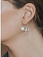 preiswerte Ohrringe-Damen Ohrringe Modisch Outdoor Blatt Ohrring