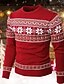 お買い得  メンズプリントセーター-醜いクリスマスセーター メンズセーター スノーフレーク編みプリント プルオーバージャンパー 大晦日セーター アウトドア デイリー 長袖 クルーネック レッド ネイビー ブルー グリーン 秋 冬 S M L