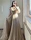 cheap Prom Dresses-A-Line Prom Dresses Elegant Dress Formal Black Tie Floor Length Long Sleeve V Neck Fall Wedding Guest Tulle with Ruched 2024