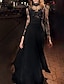 cheap Evening Dresses-A-Line Evening Gown Vintage Dress Masquerade Floor Length Long Sleeve High Neck Black Dress Chiffon with Appliques 2024