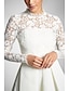 cheap Cocktail Dresses-Lace A-Line Cocktail White Black Dresses Sexy Dress Party Wear Fall Tea Length Long Sleeve High Neck Stretch Fabric with Pleats 2023
