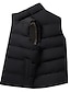 voordelige Gilets-Voor heren Fleece vest Vest Alledaagse kleding Vakantie Uitgaan Modieus Basic Lente &amp; Herfst nappi Polyester Comfortabel Effen Enkele rij knopen Opstaande boord V-hals Normale pasvorm Zwart Rood