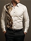 رخيصةأون قمصان الجرافيك للرجال-ورد كاجوال رجالي قميص عيد الفصح خريف &amp; شتاء طوي كم طويل البيج S, M, L 4-طريقة سترتش النسيج قميص