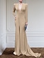 Χαμηλού Κόστους Βραδινά Φορέματα-βραδινό φόρεμα σε γραμμή κομψό μαύρο φόρεμα συν μέγεθος επίσημο φόρεμα sweep / πινέλο τρενάκι μακρυμάνικο v λαιμό ελαστικό ύφασμα με πιέτες σκίσιμο 2023