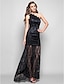 cheap Special Occasion Dresses-Sheath / Column Open Back Dress Formal Evening Military Ball Floor Length Sleeveless One Shoulder Lace with Lace 2023
