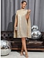 cheap Sequin Dresses-Women&#039;s Gold Christmas Dress Sequin Dress Party Dress Mini Dress Silver Black Long Sleeve Plain Sequins Spring Fall Winter Crew Neck Elegant Party Winter Dress 2023 S M L XL XXL