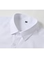 economico Camicie eleganti da uomo-Per uomo Camicia Camicie Blu chiaro Nero Bianco Manica lunga Liscio Bavero Primavera &amp; Autunno Attività commerciale Informale Abbigliamento