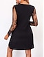 cheap Party Dresses-Women&#039;s Black Dress Sequin Dress Lace Dress Lace Patchwork V Neck Long Sleeve Mini Dress Black Spring Winter