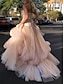 cheap Evening Dresses-A-Line Evening Gown Elegant Dress Formal Court Train Sleeveless Strapless Tulle with Pleats Ruched 2024