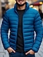 preiswerte Daunenjacken &amp; Parkas für Herren-Herren puffer jacket Steppjacke übergangsjacke Zip Tasche Polyester Tasche Büro &amp; Karriere Verabredung Casual Standard warm halten Draussen Bequem Sport Winter Glatt Schwarz Rote Dunkelmarine