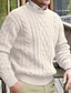 tanie sweter męski sweter-Męskie Sweter Sweter sweter Pulower Kable Robić na drutach Dzianiny Równina Półgolf Zatrzymujący ciepło Codzienny Dzienne zużycie Urlop Odzież Jesień i zima Czarny Niebieski M L XL