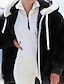 ieftine Bluze simple pentru femei-Pentru femei Pulover cu glugă cu glugă Jachetă din lână Trage pe dreapta Sherpa Fleece Teddy Fermoar Trifoi Albastru piscină Mov Simplu Rotund Manșon Lung S M L XL 2XL 3XL / Iarnă