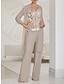 cheap Mother of the Bride Dresses-Jumpsuit / Pantsuit 3 Piece Mother of the Bride Dress Wedding Guest Elegant Illusion Neck Floor Length Chiffon Lace Long Sleeve with Ruching Solid Color 2024