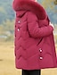 cheap Women&#039;s Puffer&amp;Parka-Women&#039;s Parka Warm Winter Coat Zipper Puffer Jacket with Removable Fur Collar Zipper Hoodie Heated Jacket Fashion Modern Casual Street Style Outerwear Long Sleeve Fall