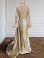 Χαμηλού Κόστους Βραδινά Φορέματα-Τρομπέτα / Γοργόνα Βραδινά φορέματα Κομψό Φόρεμα Επίσημο Γάμου Ουρά μέτριου μήκους Μακρυμάνικο Λαιμόκοψη V Σατέν με Φτερό Γκλίτερ Πιασίματα 2024