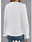 abordables Blusas y camisas de mujer-Mujer Camisa Camisa de encaje Blusa Plano Encaje Trabajo Moda Pétalo Manga Larga Escote en Pico Blanco Otoño invierno