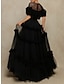 cheap Prom Dresses-A-Line Prom Dresses Elegant Dress Formal Floor Length Short Sleeve Jewel Neck Tulle with Pleats Ruffles 2024