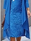 abordables conjuntos de vestidos de diseño-Mujer Conjunto de vestido de dos piezas Vestido de encaje Vestido informal Vestido de raso Noche Elegante Casual Encaje Vestido Midi Escote en Pico Manga Larga Plano Ajuste regular Vino Azul Piscina