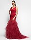 cheap Special Occasion Dresses-Mermaid / Trumpet Elegant Dress Holiday Cocktail Party Sweep / Brush Train Sleeveless V Neck Tulle with Criss Cross Ruffles 2023