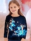 billige piges 3d t-shirts-Børn Pige T-shirt Langærmet Lilla 3D-udskrivning Sommerfugl Dyr Daglig Indendørs udendørs Aktiv Mode Daglig Sport 3-12 år