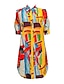 abordables robe décontractée imprimée-Robe chemise longue en satin à imprimé nature morte artistique