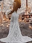 Χαμηλού Κόστους Νυφικά Φορέματα-Παραλία / Προορισμός Ανοικτή Πλάτη Σέξι Μπόχο Φορεματα για γαμο Τρομπέτα / Γοργόνα Λαιμόκοψη V Αμάνικο Ουρά μέτριου μήκους Δαντέλα Νυφικά φορέματα Με Διακοσμητικά Επιράμματα 2024