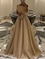 Χαμηλού Κόστους Φορέματα Χορού Αποφοίτησης-Βραδινή τουαλέτα Φορέματα χορού Κομψό Φόρεμα Γάμου Μαύρη γραβάτα Ουρά μέτριου μήκους Αμάνικο Ένας Ώμος Οργάντζα με Πιασίματα 2024